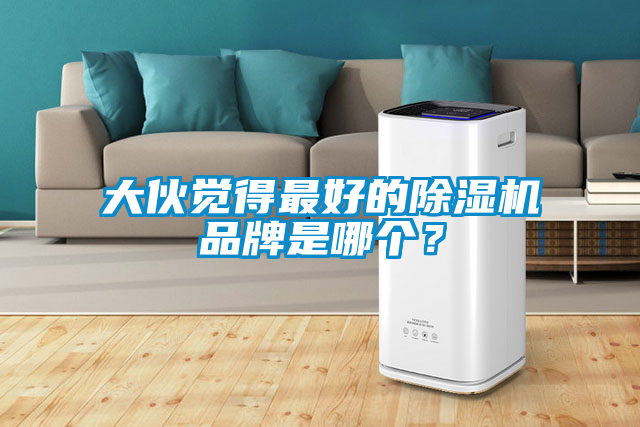 大伙覺得最好的除濕機品牌是哪個？
