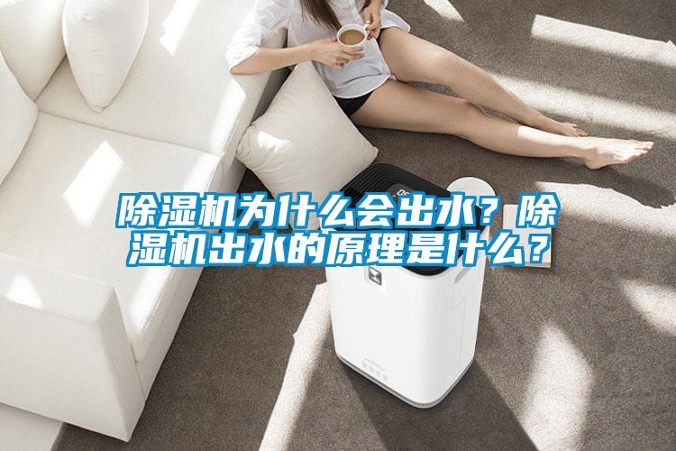 除濕機為什么會出水？除濕機出水的原理是什么？