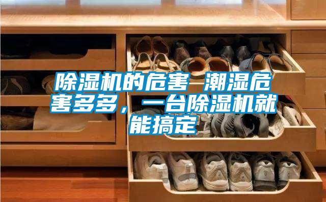 除濕機的危害 潮濕危害多多,一臺除濕機就能搞定