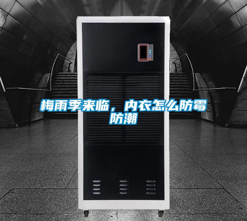 梅雨季來臨,內衣怎么防霉防潮