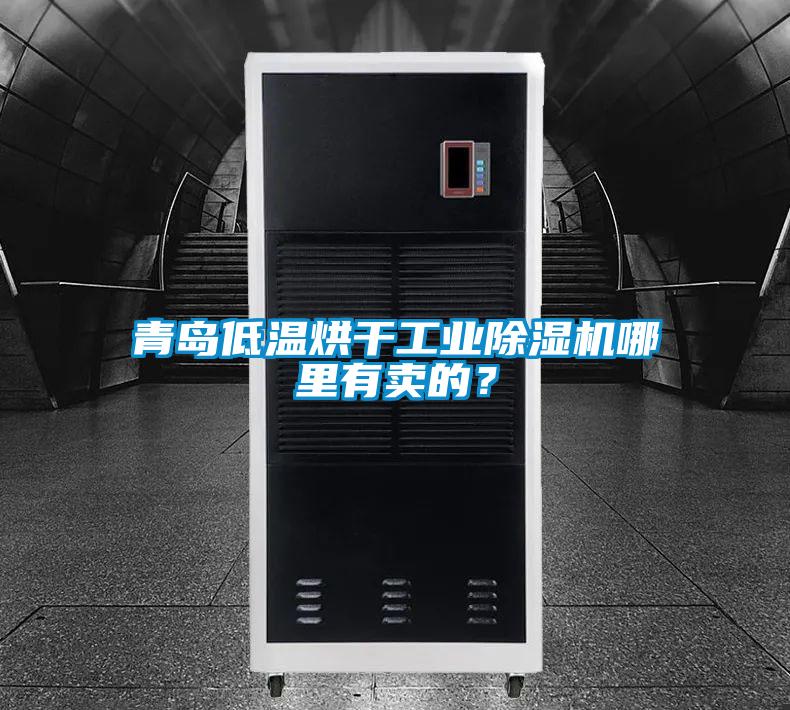 青島低溫烘干工業(yè)除濕機哪里有賣的?