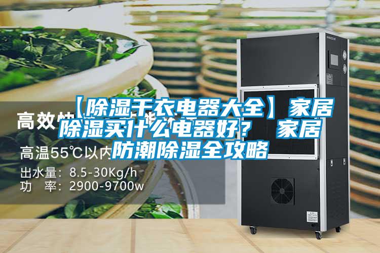 【除濕干衣電器大全】家居除濕買什么電器好？ 家居防潮除濕全攻略