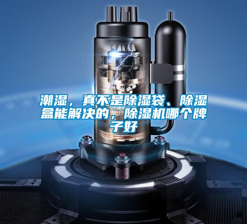 潮濕，真不是除濕袋、除濕盒能解決的，除濕機哪個牌子好