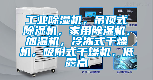 工業除濕機，吊頂式除濕機，家用除濕機，加濕機，冷凍式干燥機，吸附式干燥機，低露點