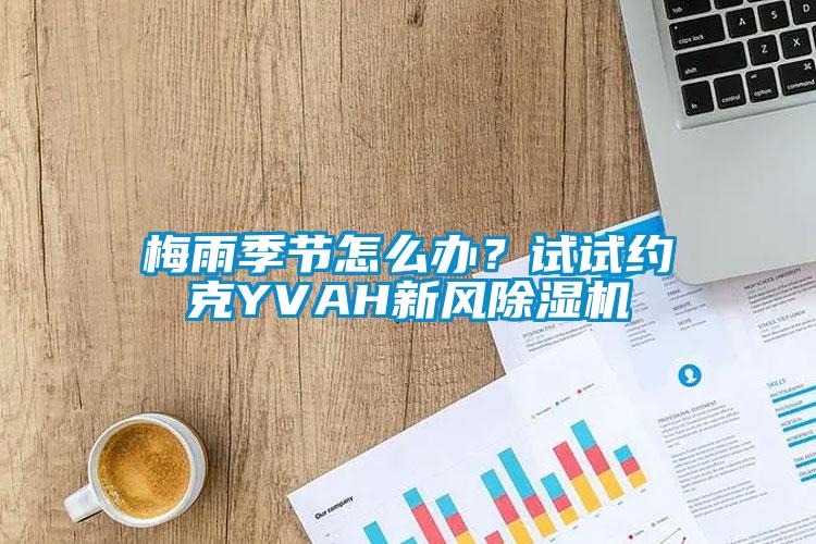 梅雨季節(jié)怎么辦？試試約克YVAH新風(fēng)除濕機