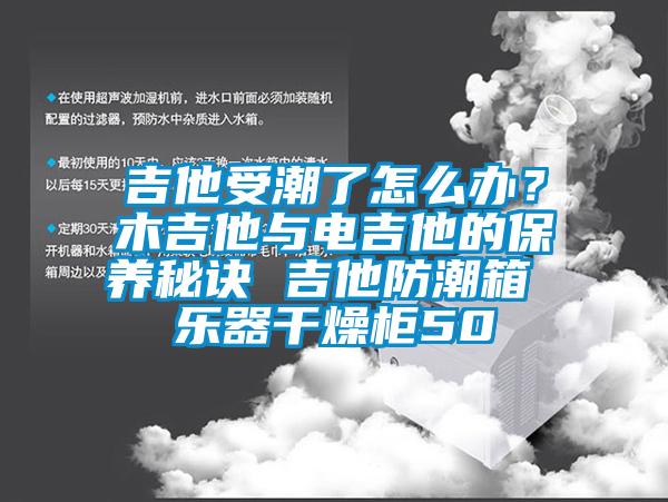 吉他受潮了怎么辦？木吉他與電吉他的保養秘訣 吉他防潮箱 樂器干燥柜50