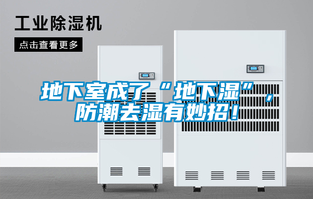 地下室成了“地下濕”，防潮去濕有妙招！