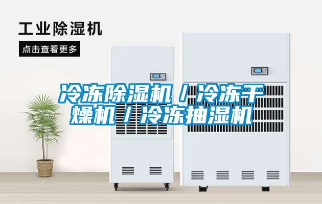 冷凍除濕機/冷凍干燥機/冷凍抽濕機