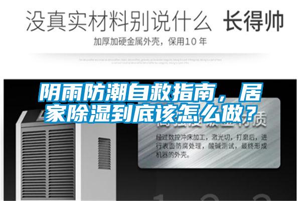 陰雨防潮自救指南，居家除濕到底該怎么做？