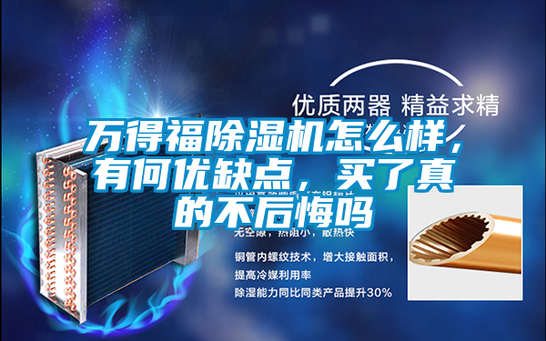 萬得福除濕機(jī)怎么樣，有何優(yōu)缺點(diǎn)，買了真的不后悔嗎