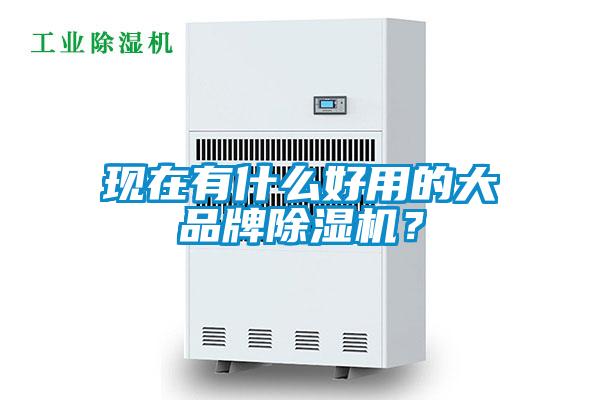 現在有什么好用的大品牌除濕機？