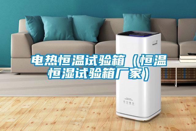 電熱恒溫試驗(yàn)箱(恒溫恒濕試驗(yàn)箱廠家)
