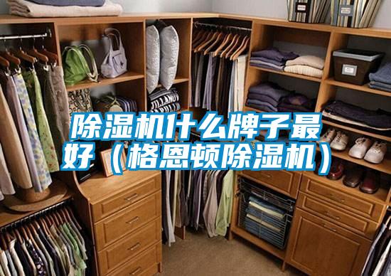 除濕機什么牌子最好(格恩頓除濕機)