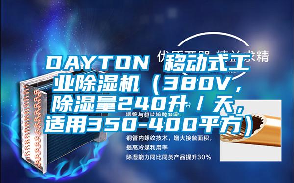DAYTON 移動(dòng)式工業(yè)除濕機(jī)（380V，除濕量240升／天，適用350-400平方）