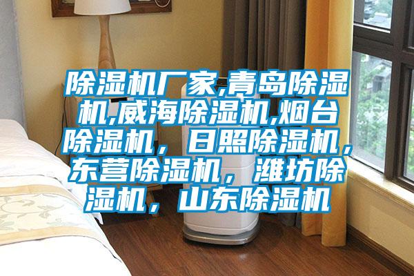 除濕機廠家,青島除濕機,威海除濕機,煙臺除濕機,日照除濕機,東營除濕機,濰坊除濕機,山東除濕機