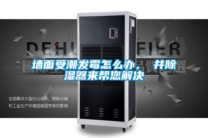 墻面受潮發霉怎么辦，東井除濕器來幫您解決