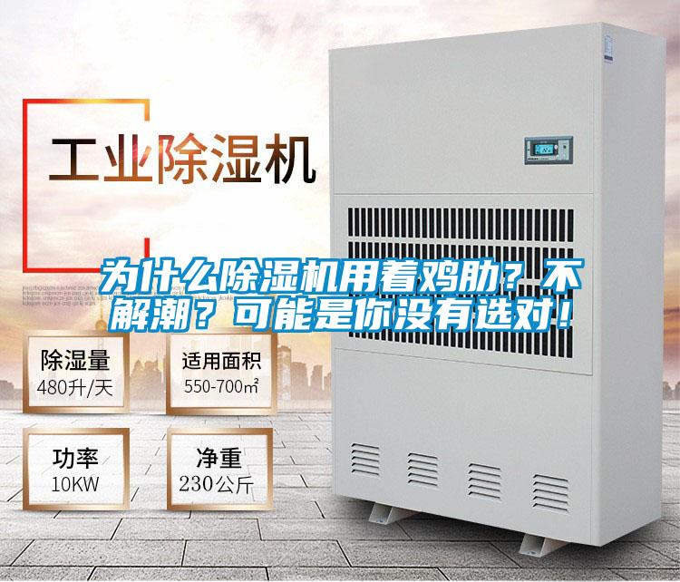 為什么除濕機用著雞肋？不解潮？可能是你沒有選對！