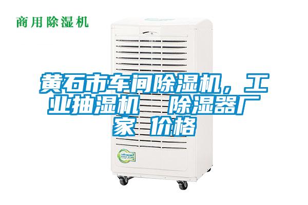 黃石市車間除濕機(jī),工業(yè)抽濕機(jī) 除濕器廠家 價(jià)格