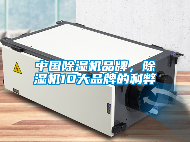 中國除濕機品牌，除濕機10大品牌的利弊