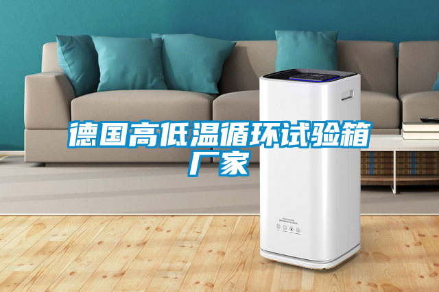 德國高低溫循環(huán)試驗箱廠家