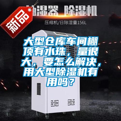 大型倉(cāng)庫(kù)車(chē)間棚頂有水珠，量很大，要怎么解決，用大型除濕機(jī)有用嗎？