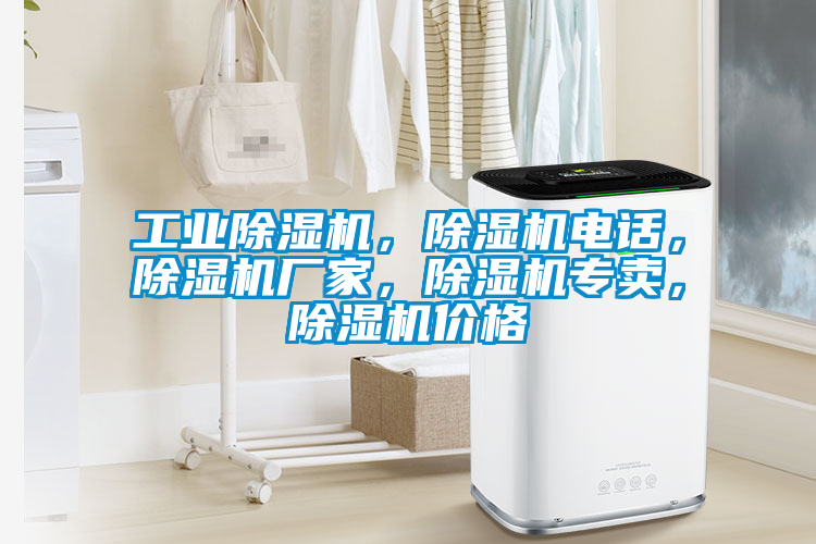 工業(yè)除濕機,除濕機電話,除濕機廠家,除濕機專賣,除濕機價格