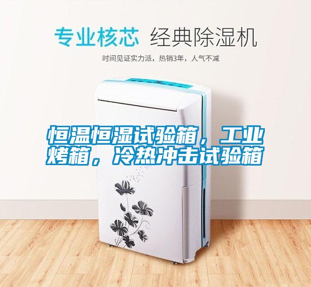 恒溫恒濕試驗箱，工業烤箱，冷熱沖擊試驗箱