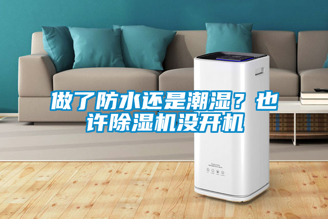 做了防水還是潮濕?也許除濕機沒開機