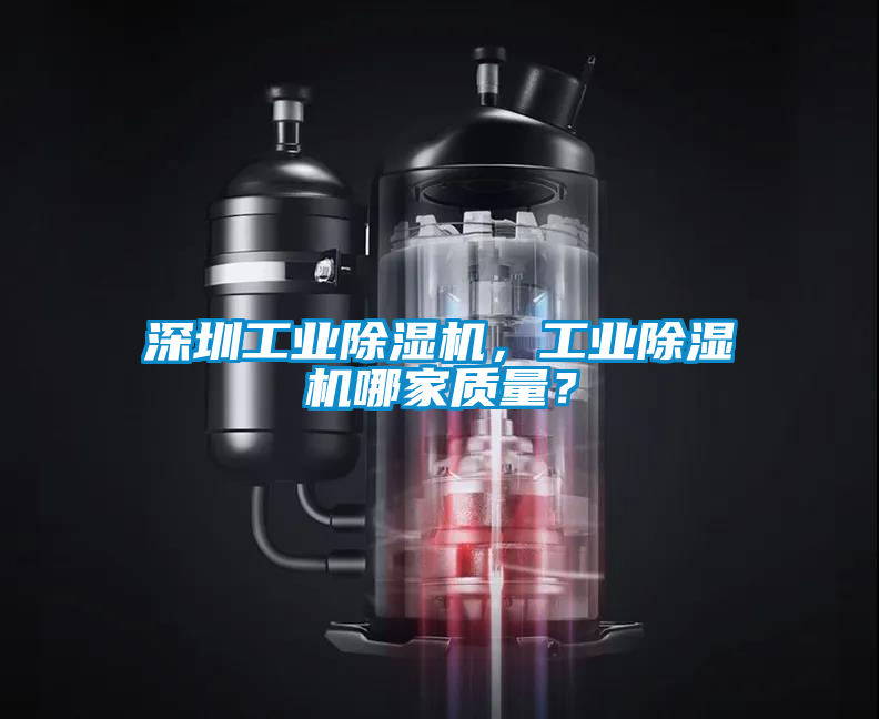 深圳工業除濕機，工業除濕機哪家質量？