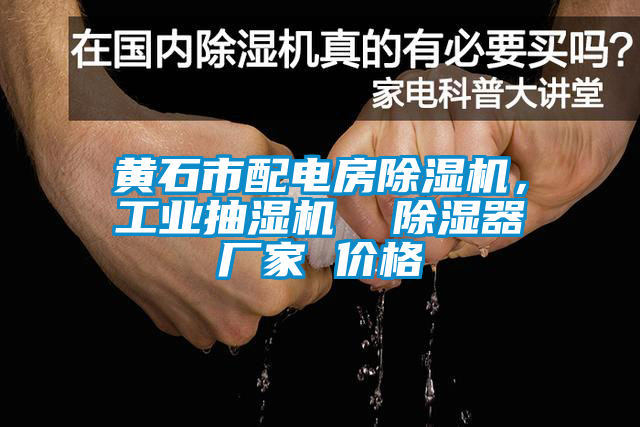 黃石市配電房除濕機(jī)，工業(yè)抽濕機(jī)  除濕器廠家 價(jià)格