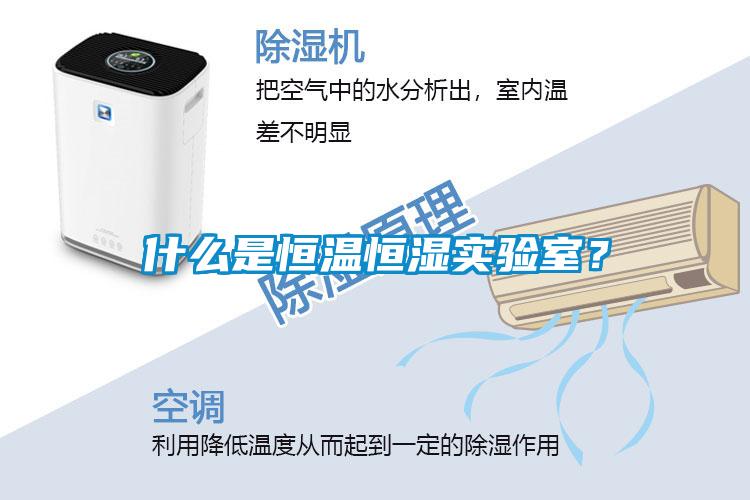 什么是恒溫恒濕實驗室？
