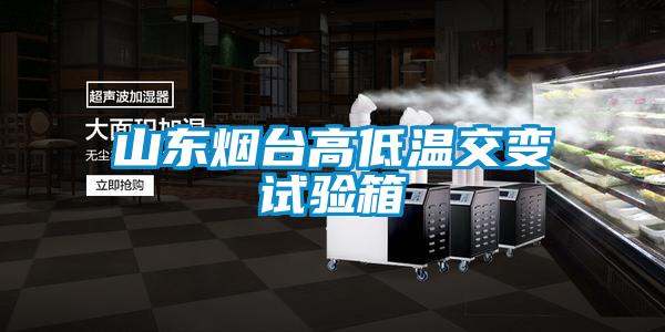 山東煙臺(tái)高低溫交變試驗(yàn)箱