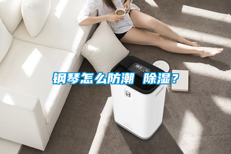 鋼琴怎么防潮 除濕？