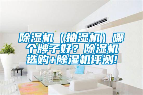 除濕機(jī)(抽濕機(jī))哪個(gè)牌子好?除濕機(jī)選購+除濕機(jī)評(píng)測(cè)!