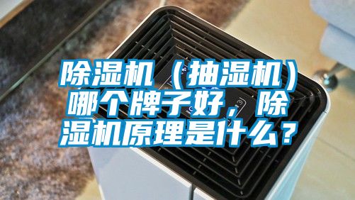 除濕機（抽濕機）哪個牌子好，除濕機原理是什么？