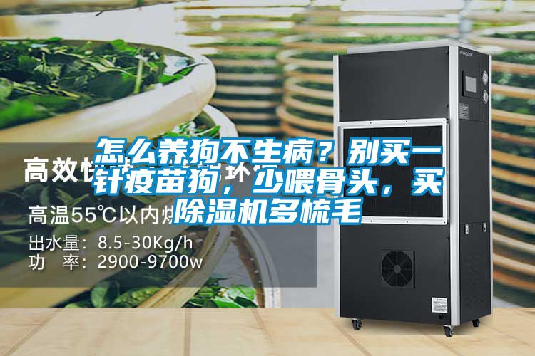 怎么養狗不生病？別買一針疫苗狗，少喂骨頭，買除濕機多梳毛