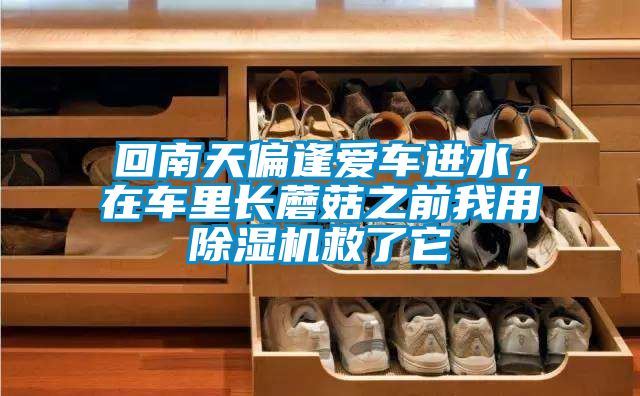 回南天偏逢愛車進(jìn)水,在車?yán)镩L蘑菇之前我用除濕機(jī)救了它