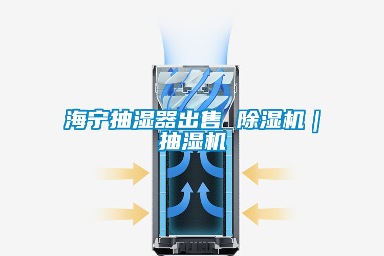 海寧抽濕器出售 除濕機|抽濕機