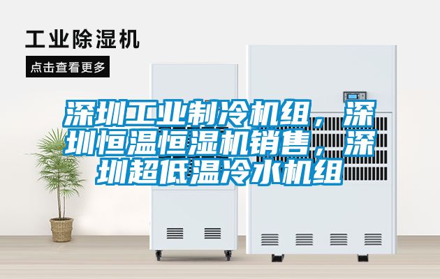 深圳工業制冷機組，深圳恒溫恒濕機銷售，深圳超低溫冷水機組