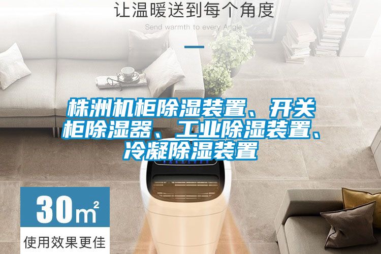 株洲機柜除濕裝置、開關(guān)柜除濕器、工業(yè)除濕裝置、冷凝除濕裝置