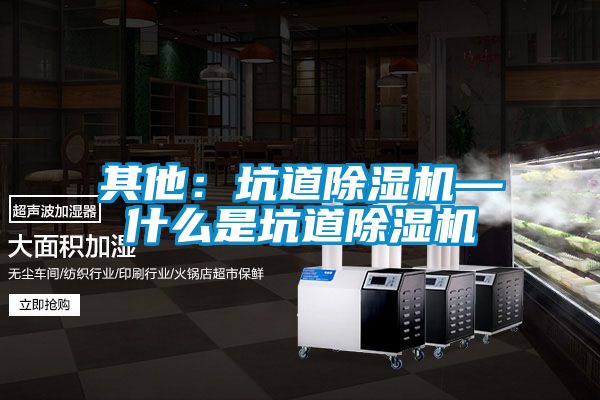 其他:坑道除濕機—什么是坑道除濕機