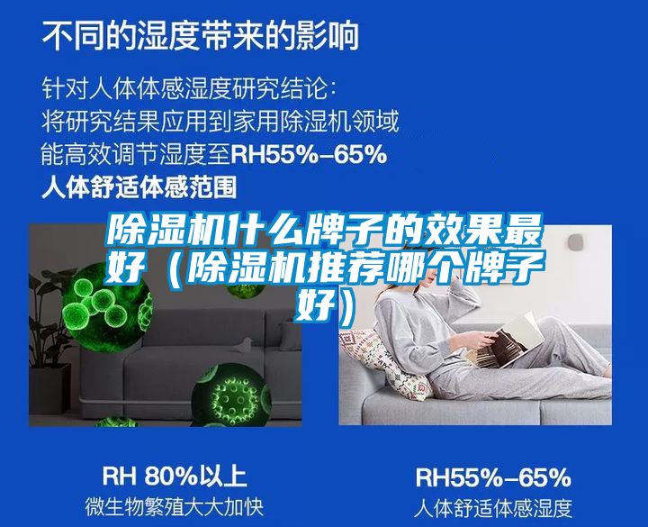 除濕機什么牌子的效果最好(除濕機推薦哪個牌子好)