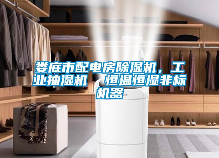 婁底市配電房除濕機，工業抽濕機  恒溫恒濕非標機器