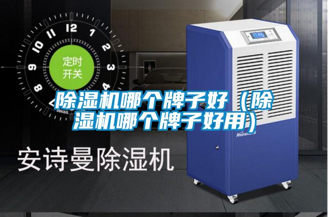 除濕機(jī)哪個(gè)牌子好(除濕機(jī)哪個(gè)牌子好用)