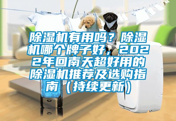 除濕機(jī)有用嗎?除濕機(jī)哪個牌子好,2022年回南天超好用的除濕機(jī)推薦及選購指南(持續(xù)更新)