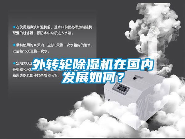 外轉(zhuǎn)輪除濕機(jī)在國(guó)內(nèi)發(fā)展如何?