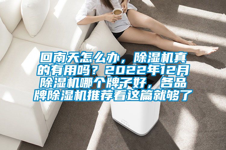 回南天怎么辦，除濕機真的有用嗎？2022年12月除濕機哪個牌子好，各品牌除濕機推薦看這篇就夠了