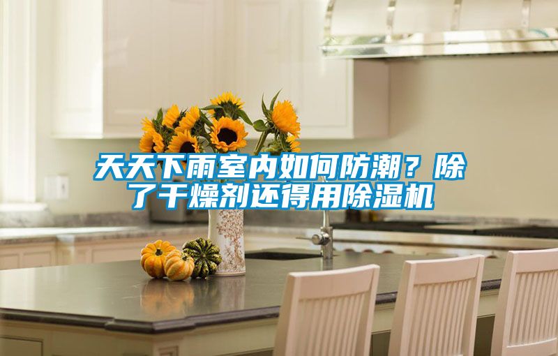 天天下雨室內如何防潮?除了干燥劑還得用除濕機