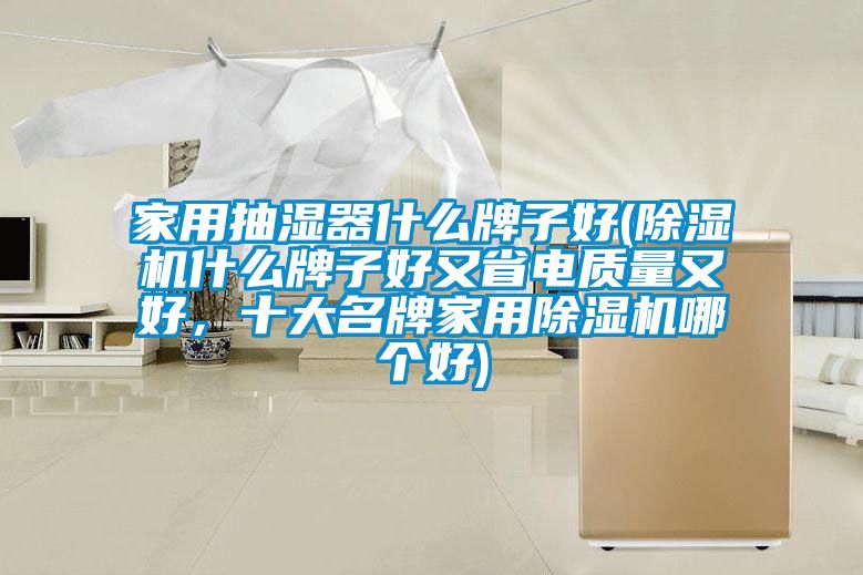 家用抽濕器什么牌子好(除濕機什么牌子好又省電質(zhì)量又好，十大名牌家用除濕機哪個好)