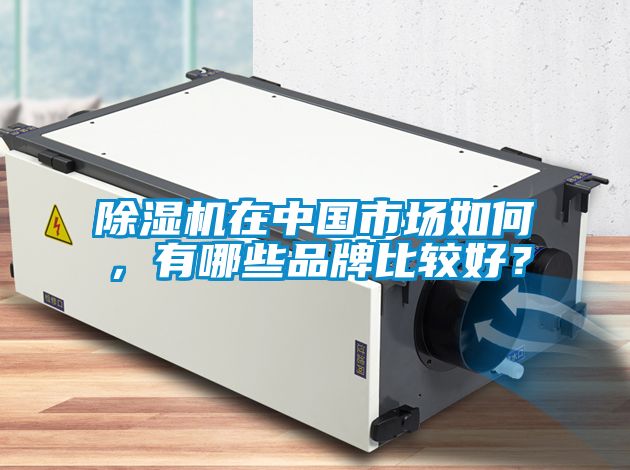 除濕機在中國市場如何，有哪些品牌比較好？